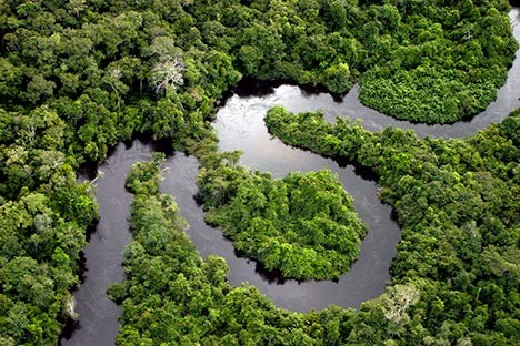 Sông Amazon nhìn từ trên cao ngoằn nghèo như một con trăn khổng lồ